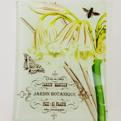 Studio Z Prima Donna Botanical Glass, Plate Set of 2