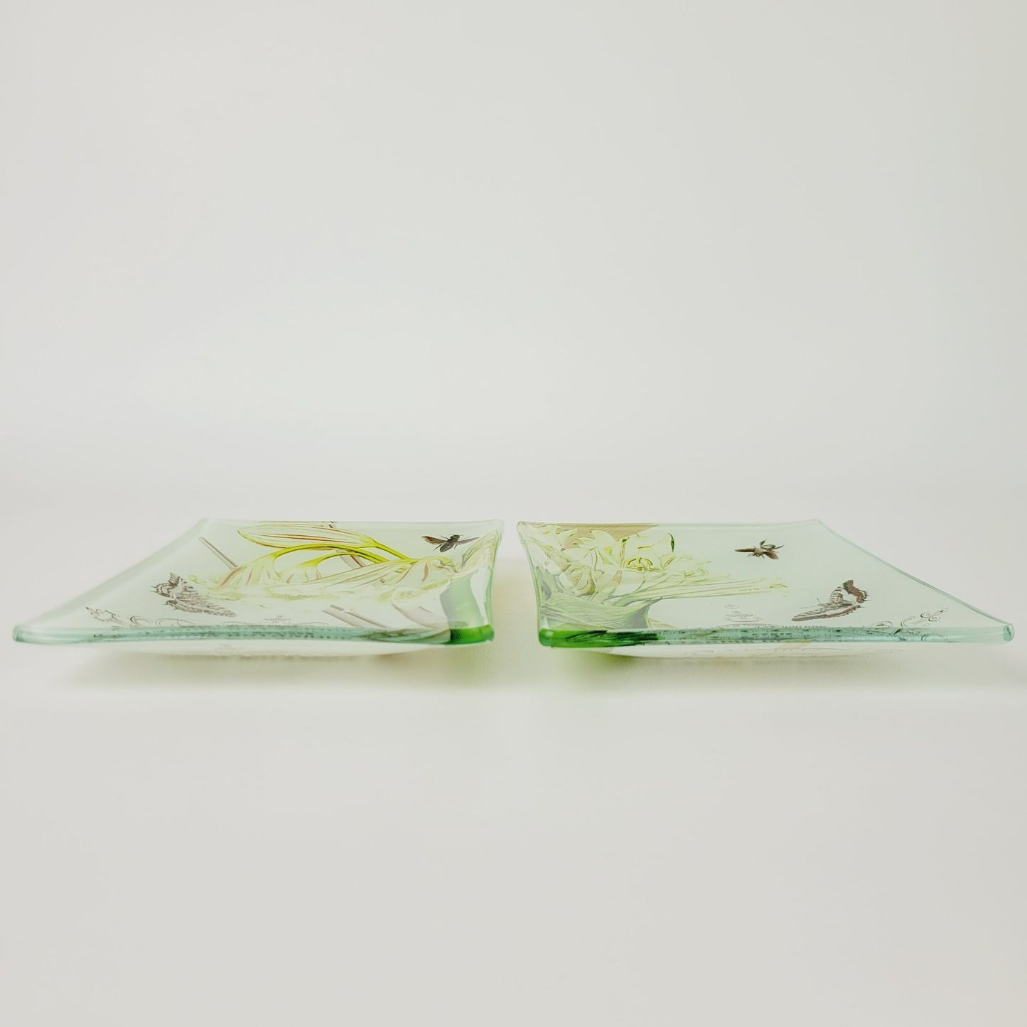 Studio Z Prima Donna Botanical Glass, Plate Set of 2