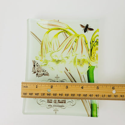 Studio Z Prima Donna Botanical Glass, Plate Set of 2