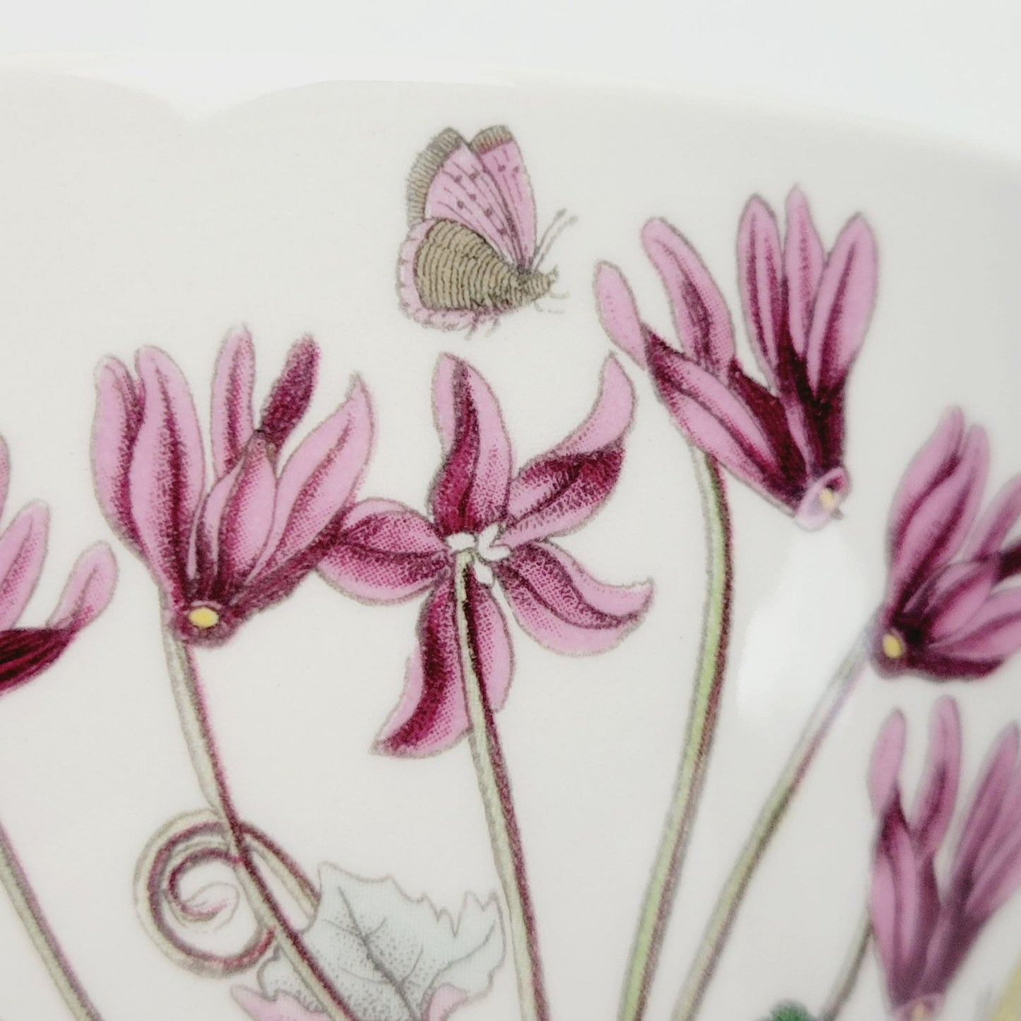 Portmeirion Botanic Garden Cyclamen 5" Chili Bowl, Made in Britain