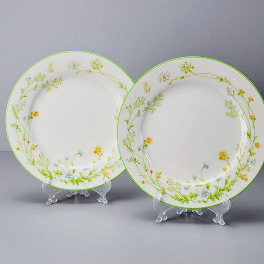 Noritake Reverie Salad Plate, Set of 2, Green Trim