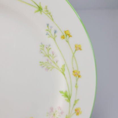Noritake Reverie Salad Plate, Set of 2, Green Trim