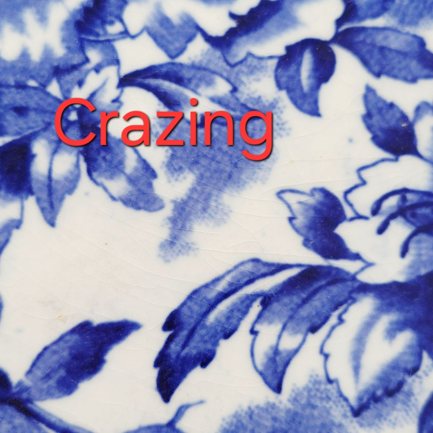 W&E Corn Flow Blue ORMONDE  Dinner Plate / Shallow Bowl, c.1898-1904 England