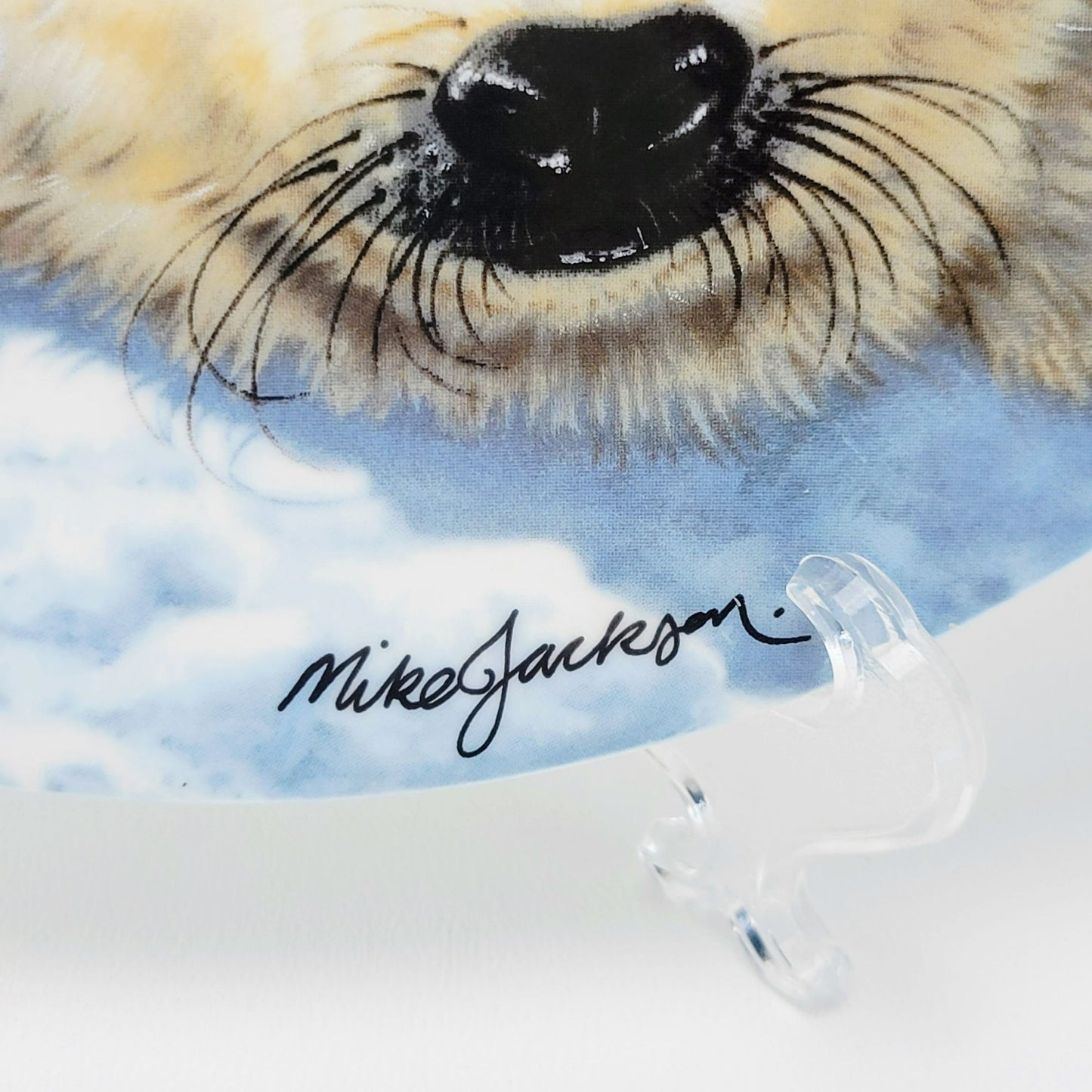 Royal Grafton Baby Seals Decorative Wall Plate, Made in England