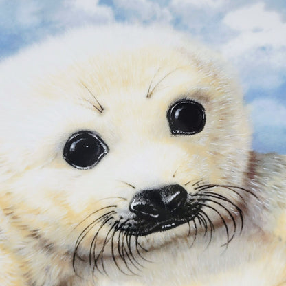 Royal Grafton Baby Seals Decorative Wall Plate, Made in England