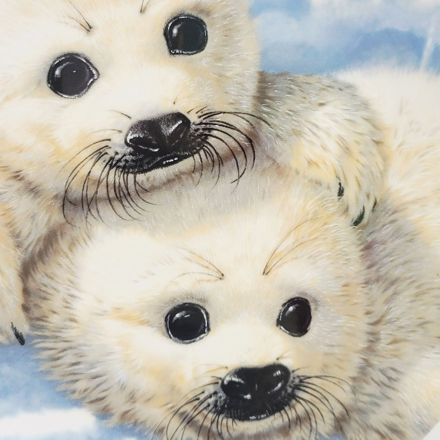 Royal Grafton Baby Seals Decorative Wall Plate, Made in England