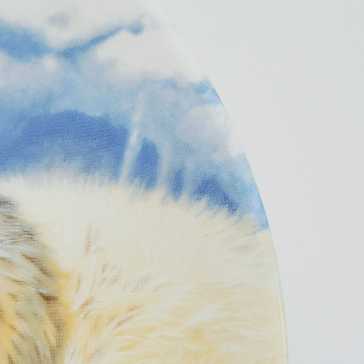 Royal Grafton Baby Seals Decorative Wall Plate, Made in England