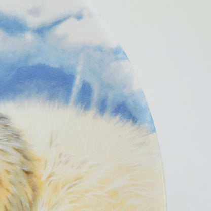 Royal Grafton Baby Seals Decorative Wall Plate, Made in England