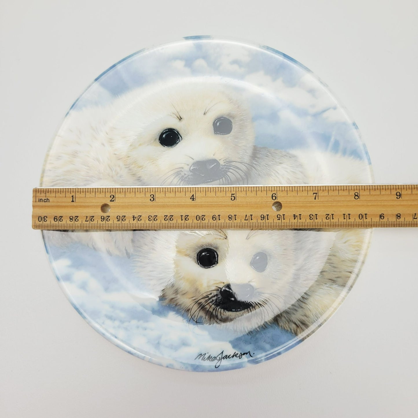 Royal Grafton Baby Seals Decorative Wall Plate, Made in England