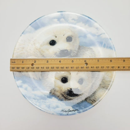 Royal Grafton Baby Seals Decorative Wall Plate, Made in England