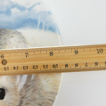 Royal Grafton Baby Seals Decorative Wall Plate, Made in England