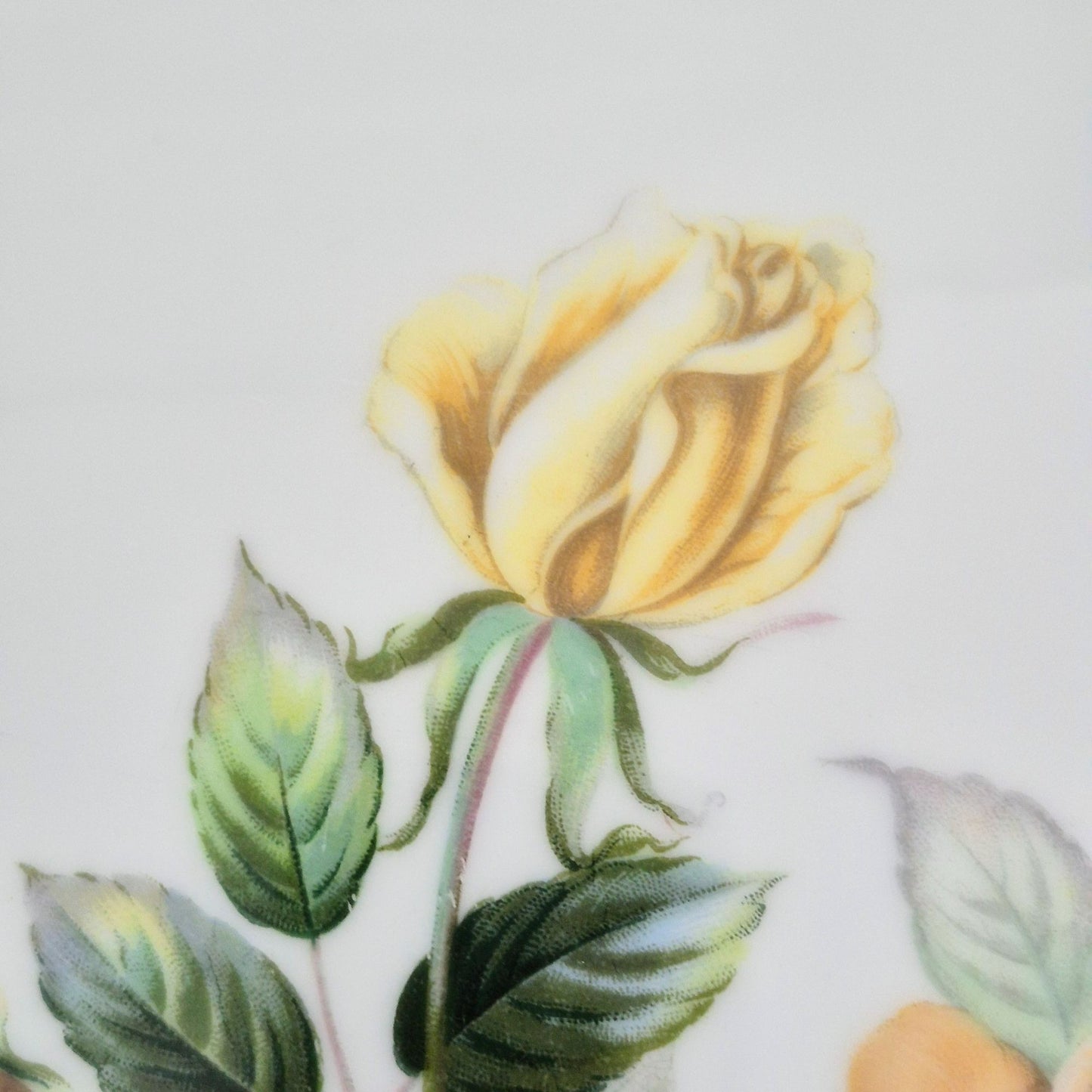Narumi Peach Roses 15" Oval Serving Platter, c1950s Japan