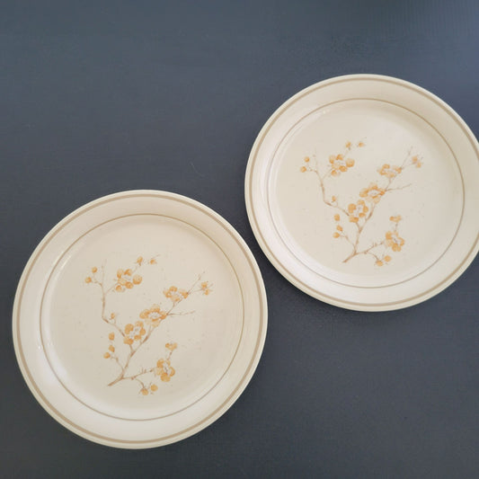 Corning China Blossom Luncheon Plate Set of 2, c.1980-90s USA