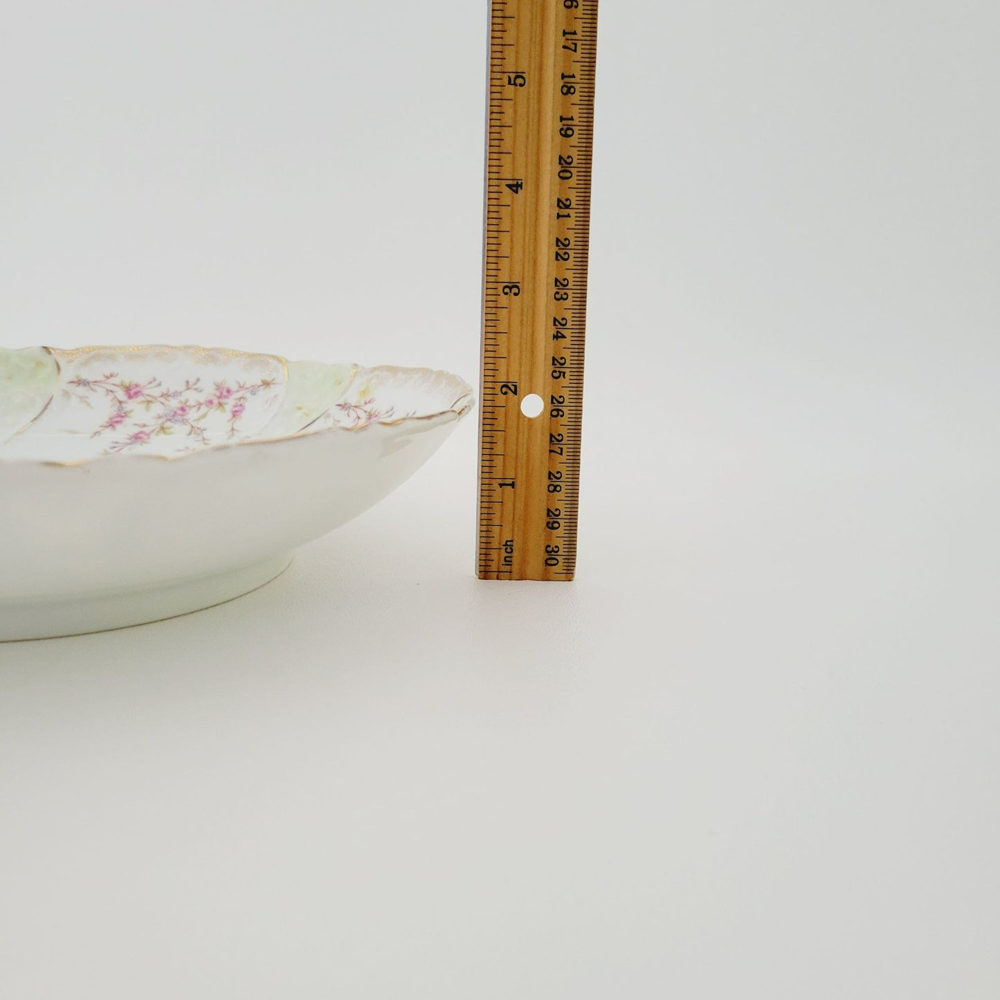 Antique Carl Tielsch Shallow Serving Bowl, Germany c.1875-1935