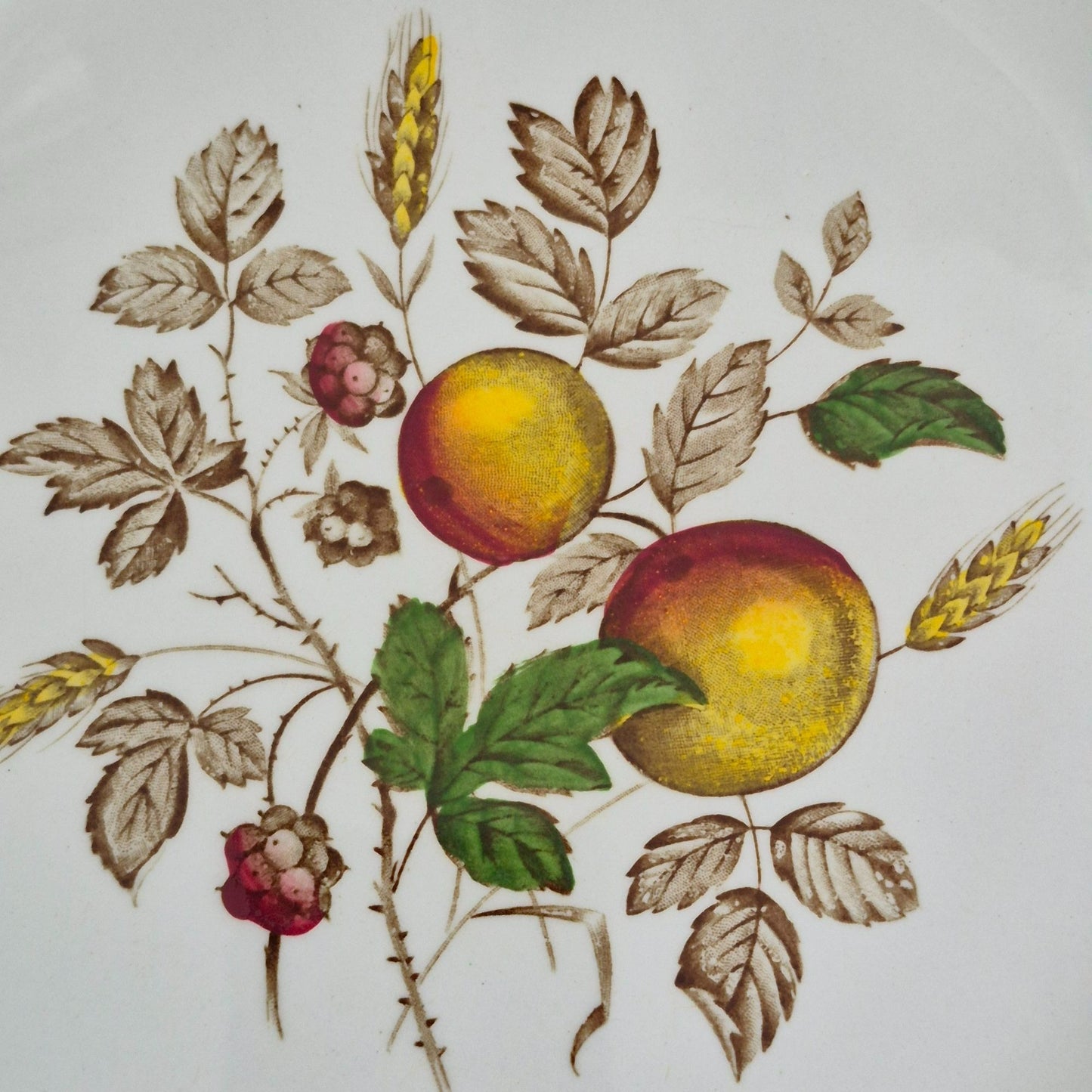 Alfred Meakin "Hereford" Dinner Plate, Set of 2, England c.1940-60s