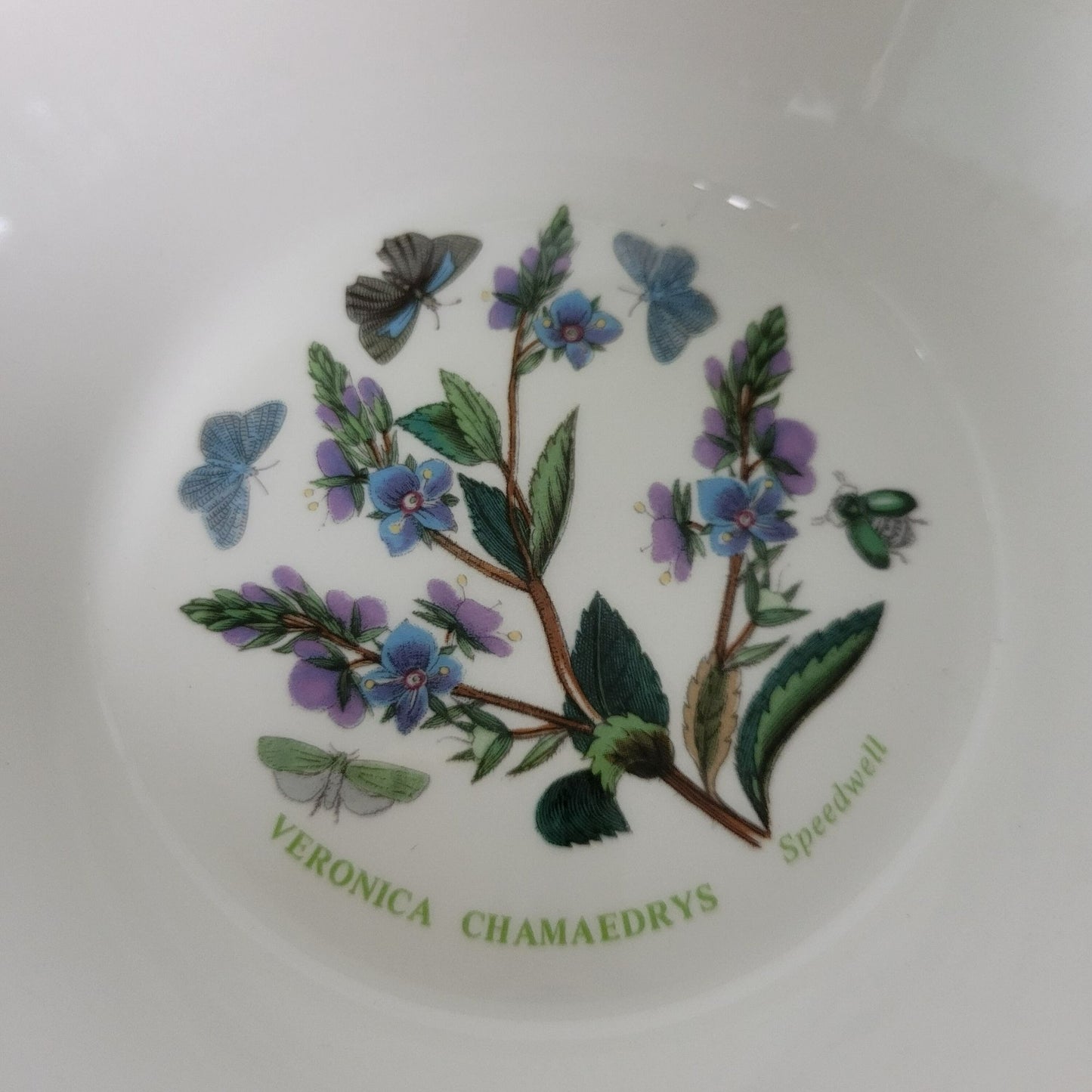 Portmeirion Botanic Garden Rim Cereal Bowl, Speedwell Pattern