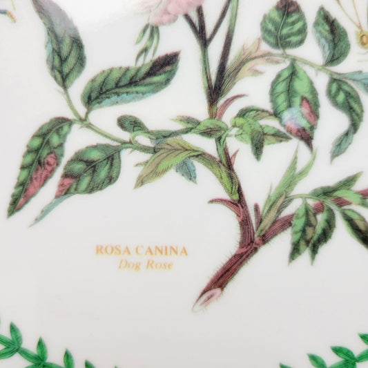 Portmeirion Botanic Garden Dog Rose Melamine Plastic 6" Round Trivet, Made in England