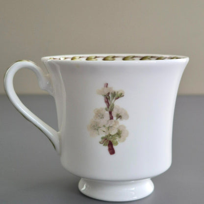 Queen's "Hookers Fruit" Black Cherry Cup & Saucer, 2 Sets, c.1980s England