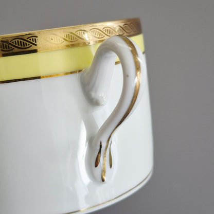Richard Ginori "Palermo Yellow" Flat Cup Set of 2, Italy c.1960-70s