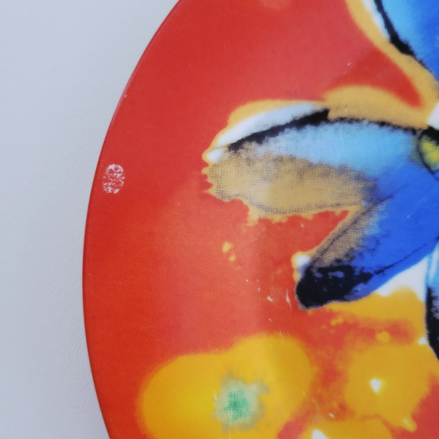 Watercolor Floral Ceramic Salad Plates, Set Of 2