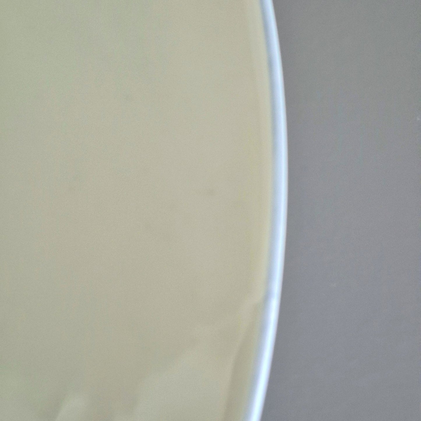 Block Spal "Hydrangea" Dinner Plate, c.1982-91 Portugal