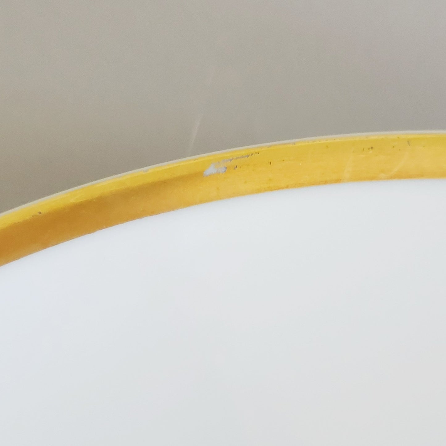 PM Jaeger & Co. Harvest Dinner Plate, Yellow Apple & Nuts, c.1950-60 Bavaria Germany
