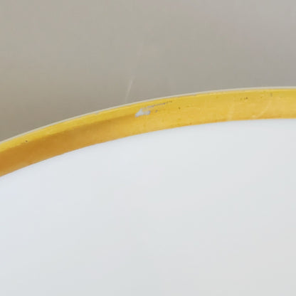 PM Jaeger & Co. Harvest Dinner Plate, Yellow Apple & Nuts, c.1950-60 Bavaria Germany
