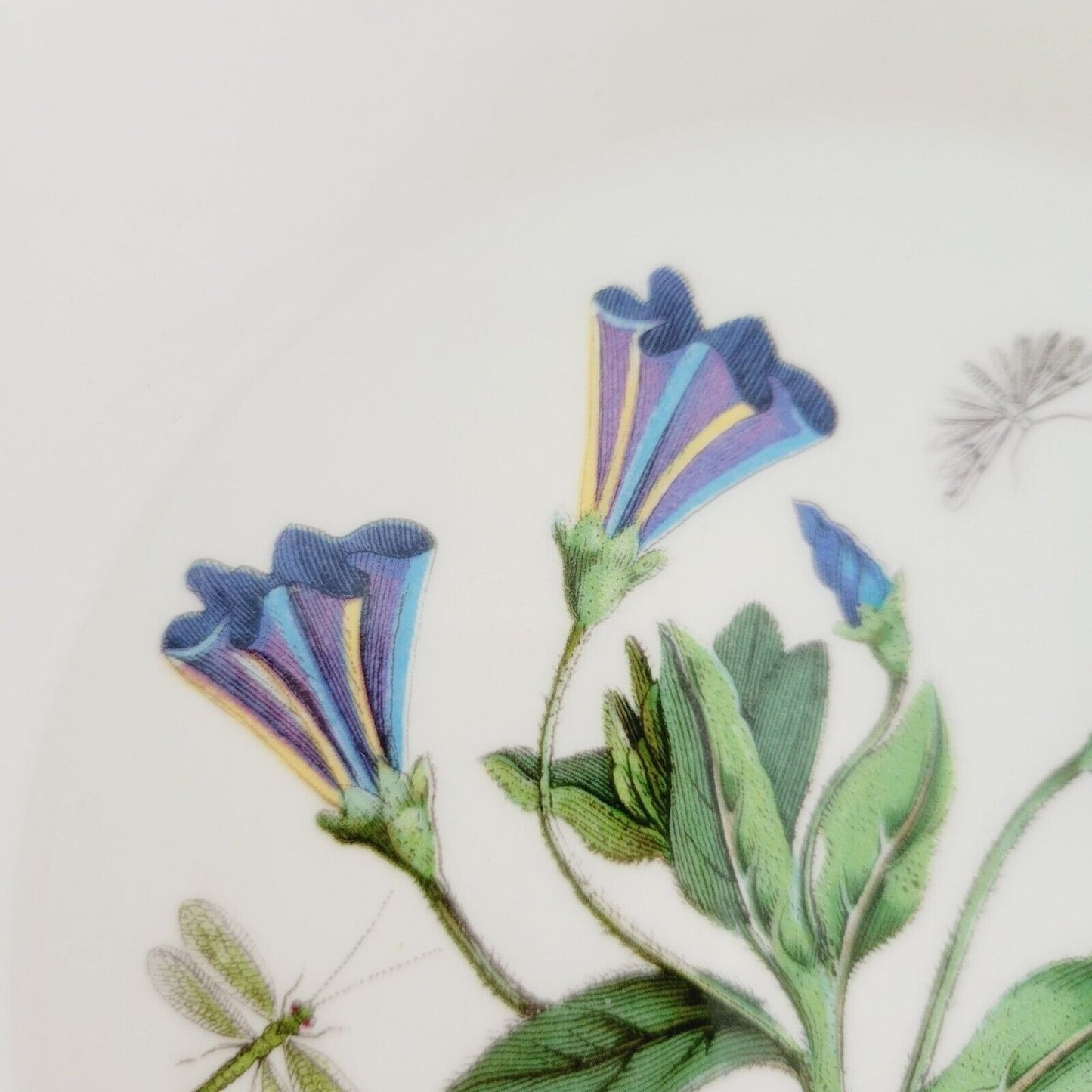 Portmeirion Botanic Garden Rim Soup Bowl Trailing Bindweed