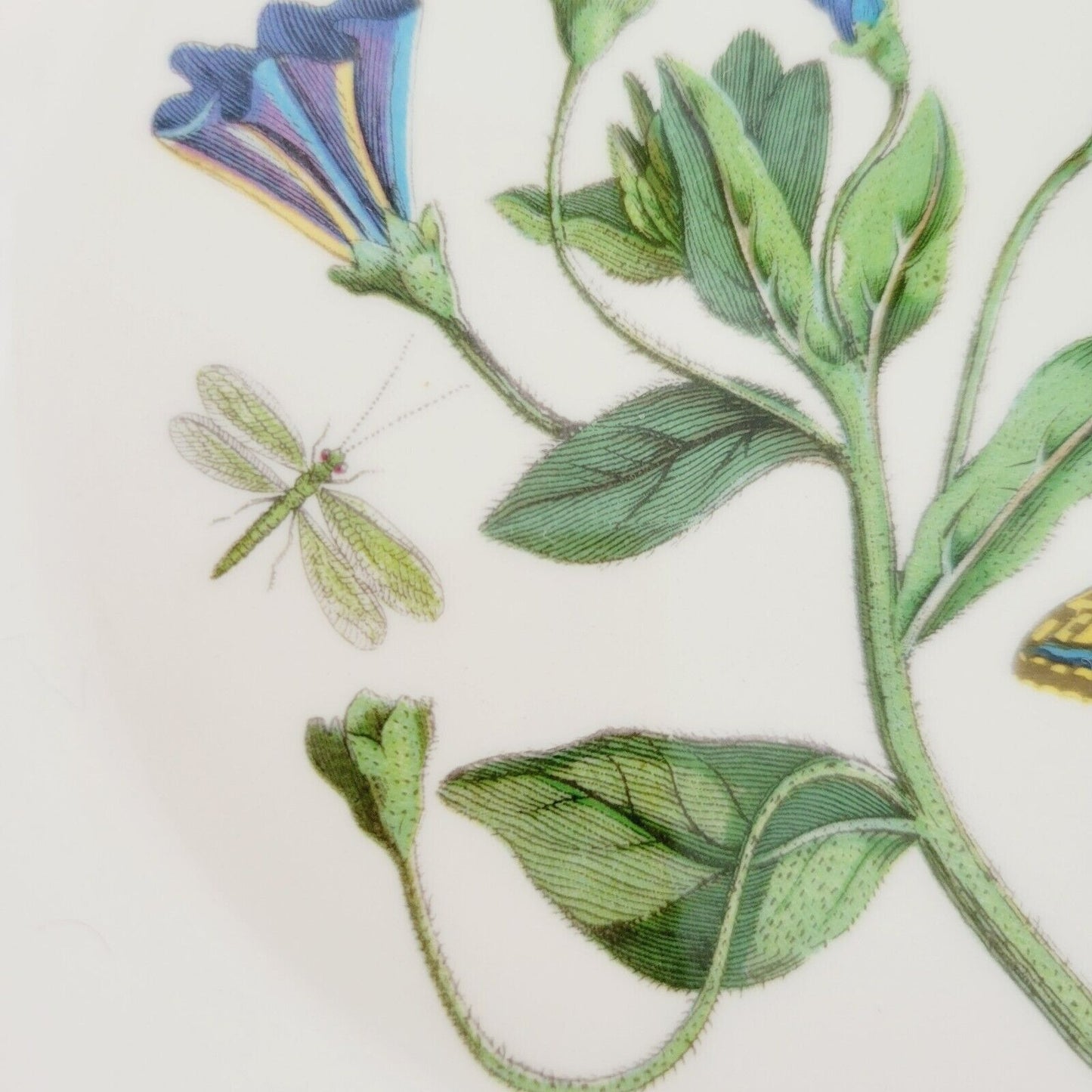 Portmeirion Botanic Garden Rim Soup Bowl Trailing Bindweed