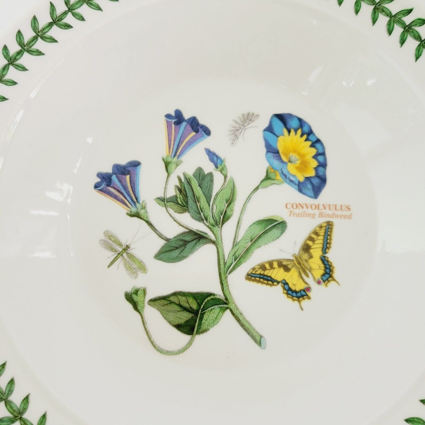 Portmeirion Botanic Garden Rim Soup Bowl Trailing Bindweed