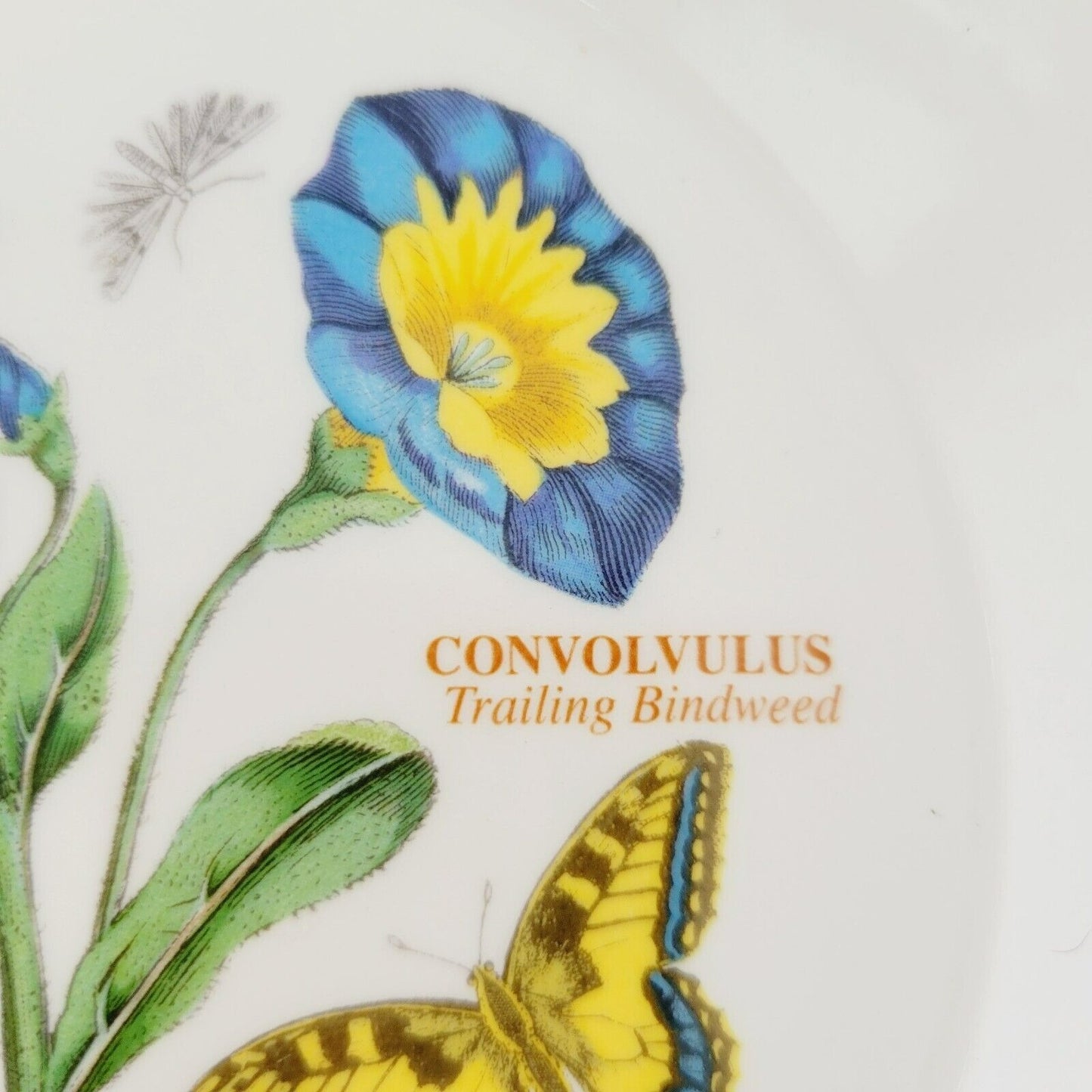 Portmeirion Botanic Garden Rim Soup Bowl Trailing Bindweed