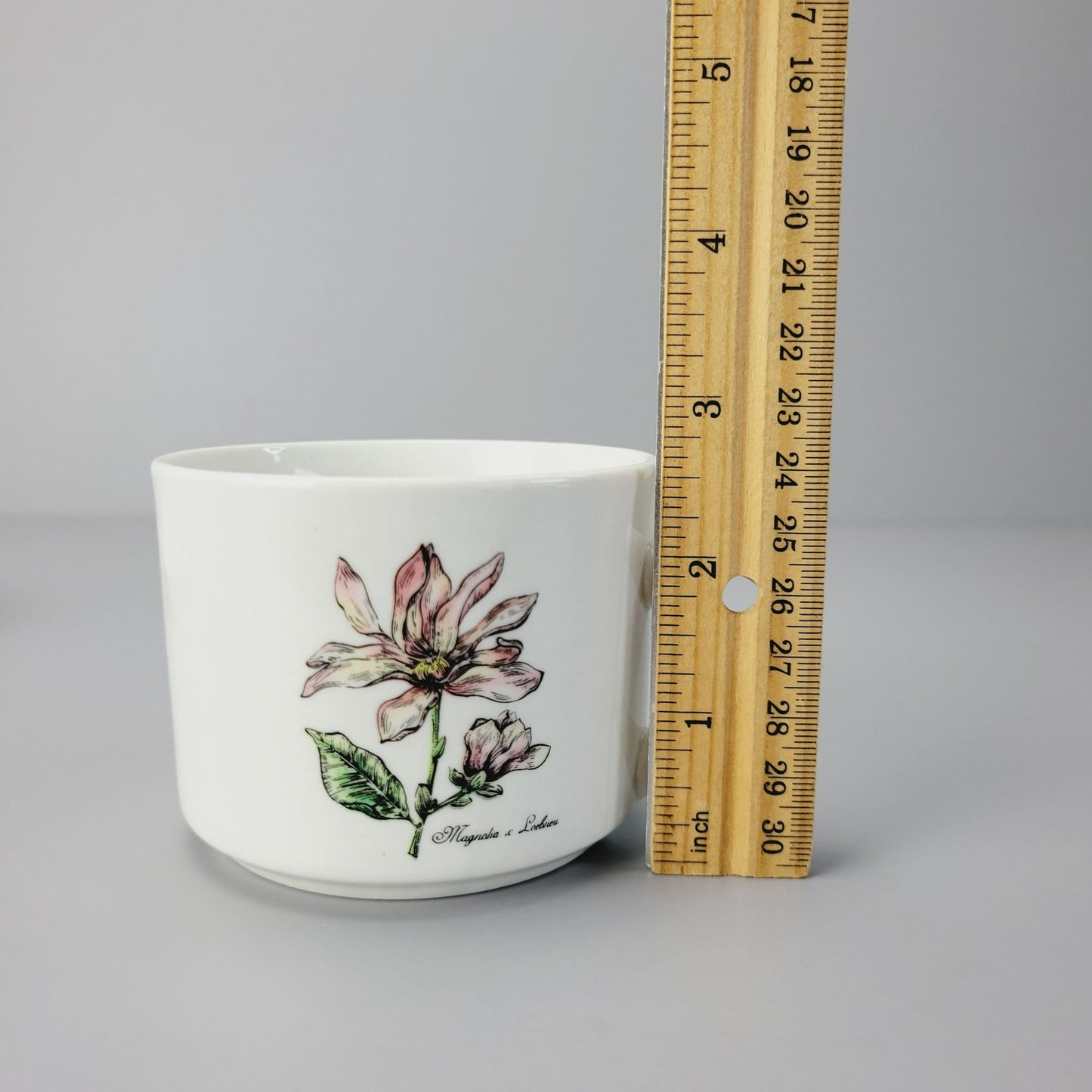 Botanical Gardens Magnolia Flower Cup, Saucer & Salad Plate Set, c1990s