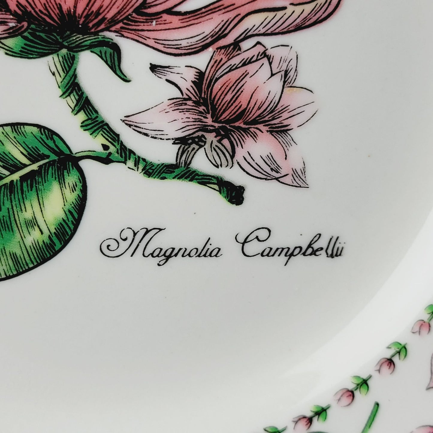 Botanical Gardens Magnolia Flower Cup, Saucer & Salad Plate Set, c1990s