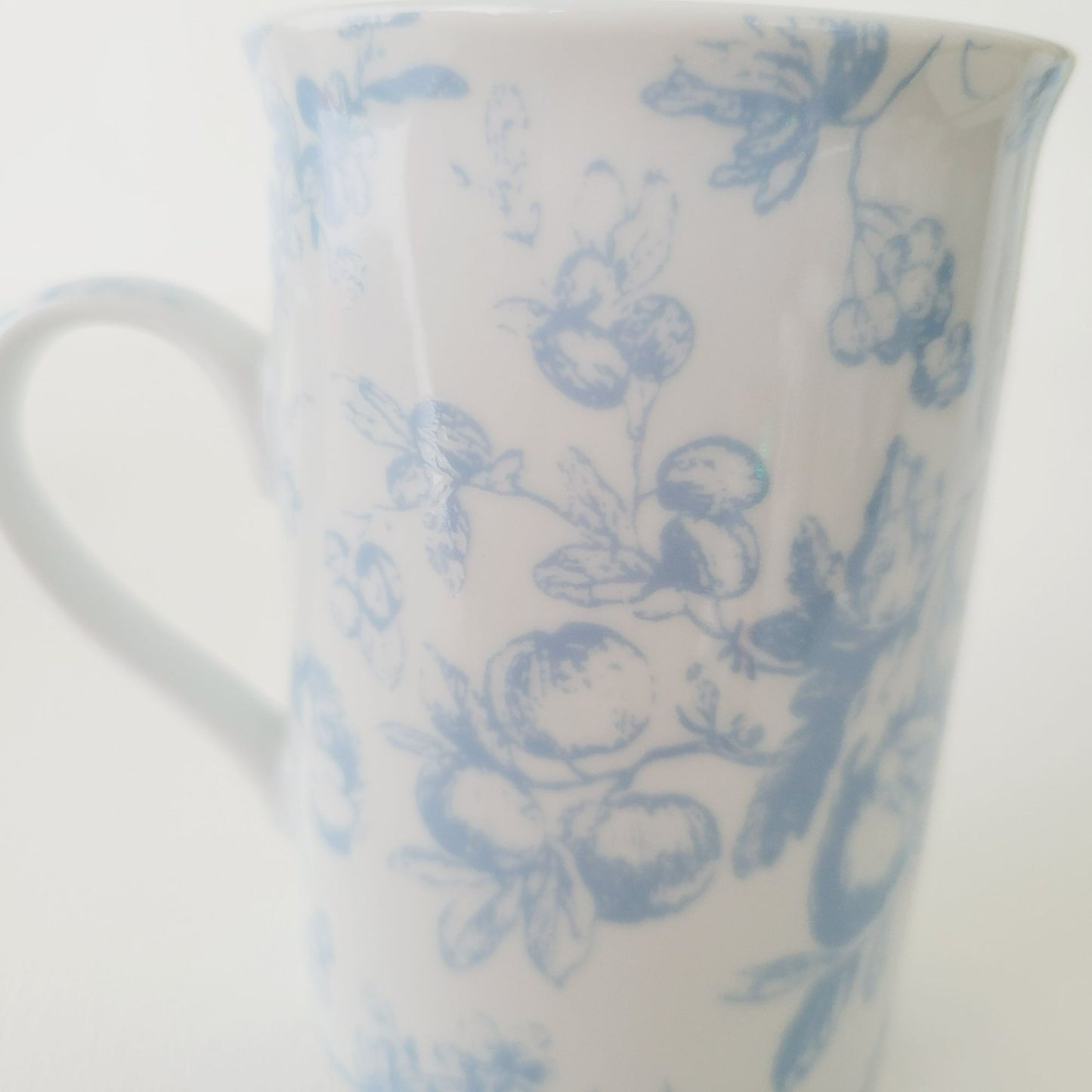 Living Quarters Botanical Garden Coffee Mug, Set of 2