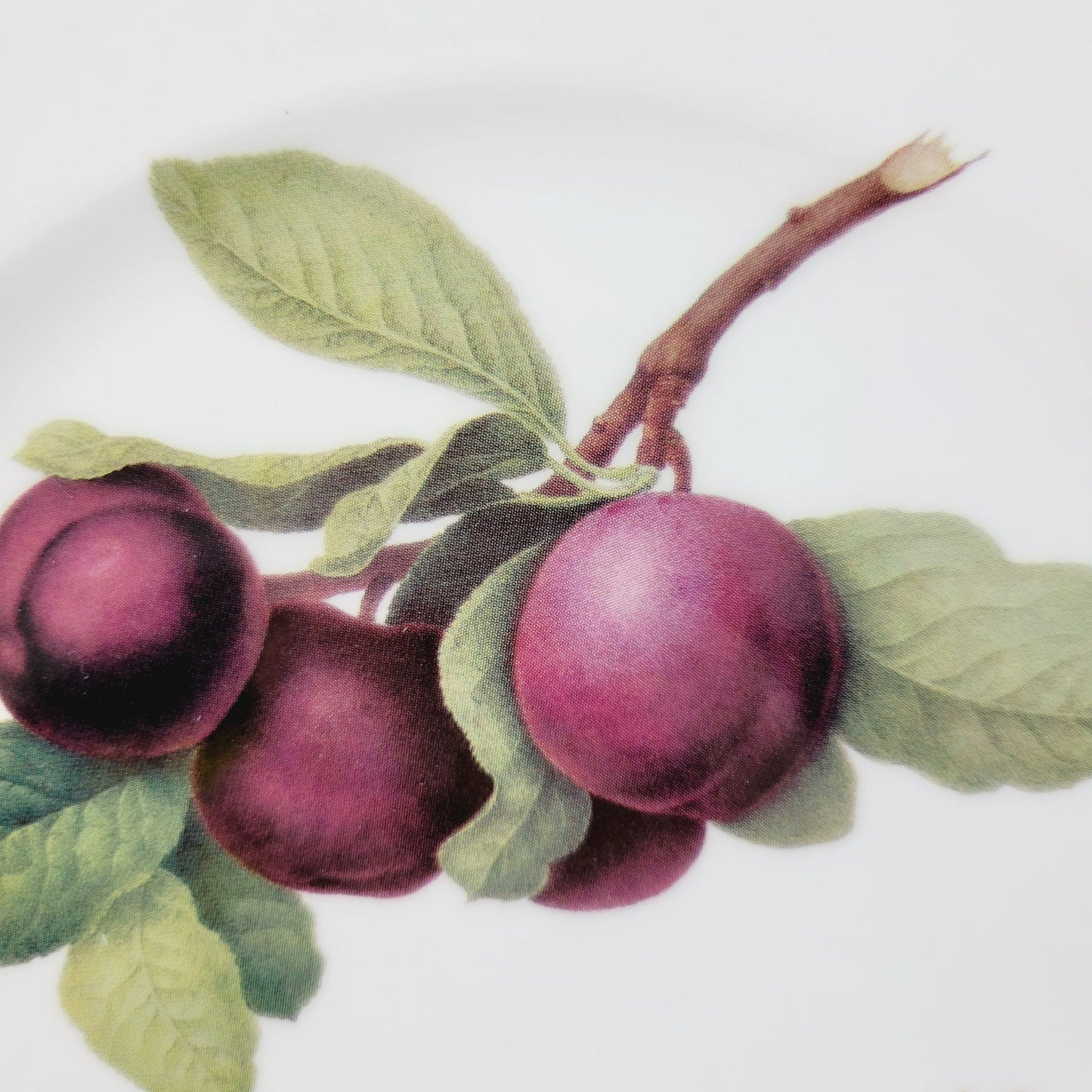 Queen's Hookers Fruit Plum Salad Plate Set of 2, Made in England