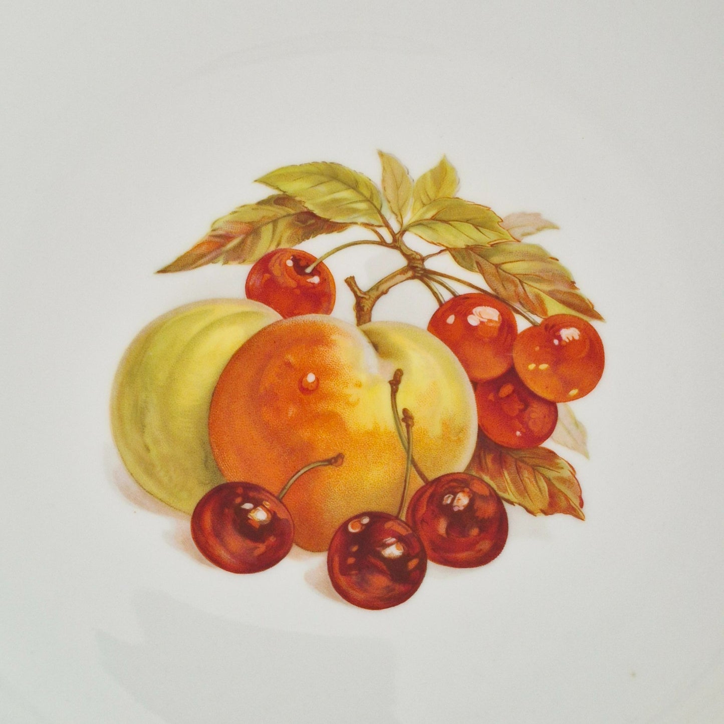 Bareuther Peach & Cherry Dinner Plates, c.1970-90s Germany