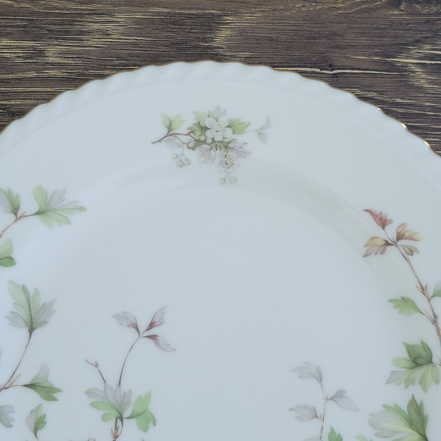 Franconia K&A Krautheim Hawthorn Dinner Plate, Gadroon Border, c.1964-75 Germany