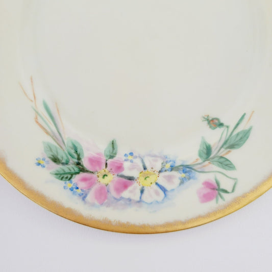 Antique Johann Haviland Waldershof Appetizer Plate, RARE, c.1907-24 Germany