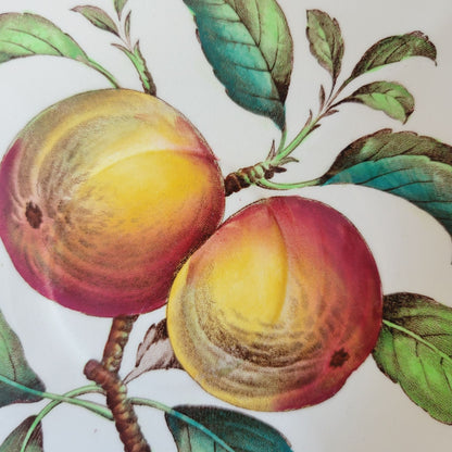 Spode Apple Saucer Set of 4, c.1962-64 England