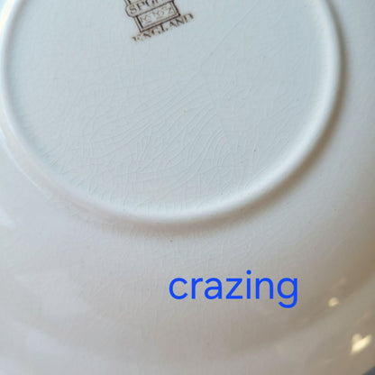 Spode Apple Saucer Set of 4, c.1962-64 England