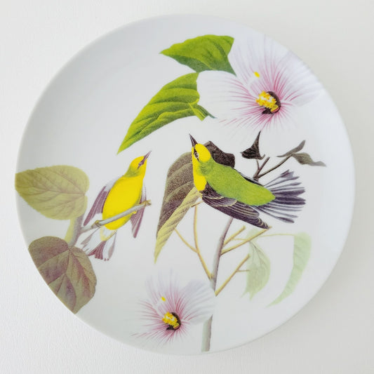 Godinger Audubon Watercolor Bird Salad Plate, Set of 3