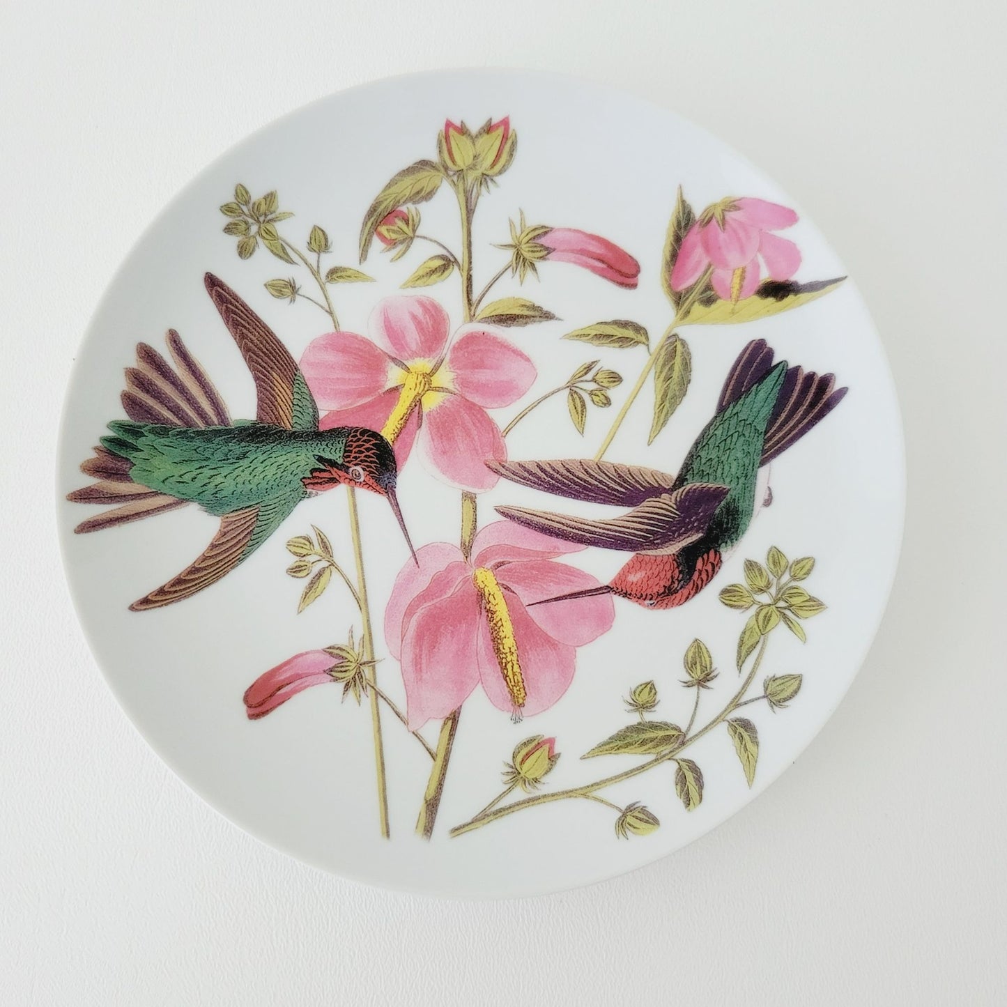 Godinger Audubon Watercolor Bird Salad Plate, Set of 3