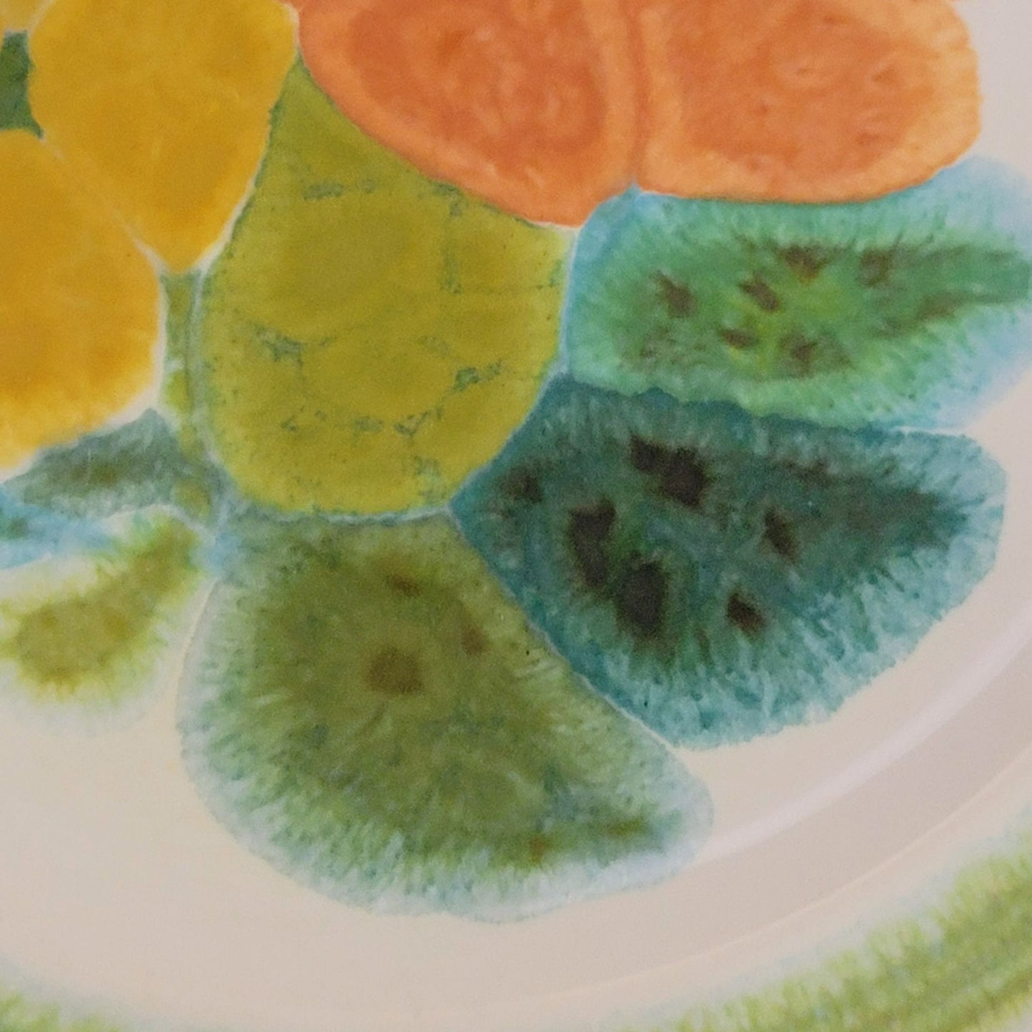 Franciscan Floral Bread Plate, Set of 2, c.1970s USA