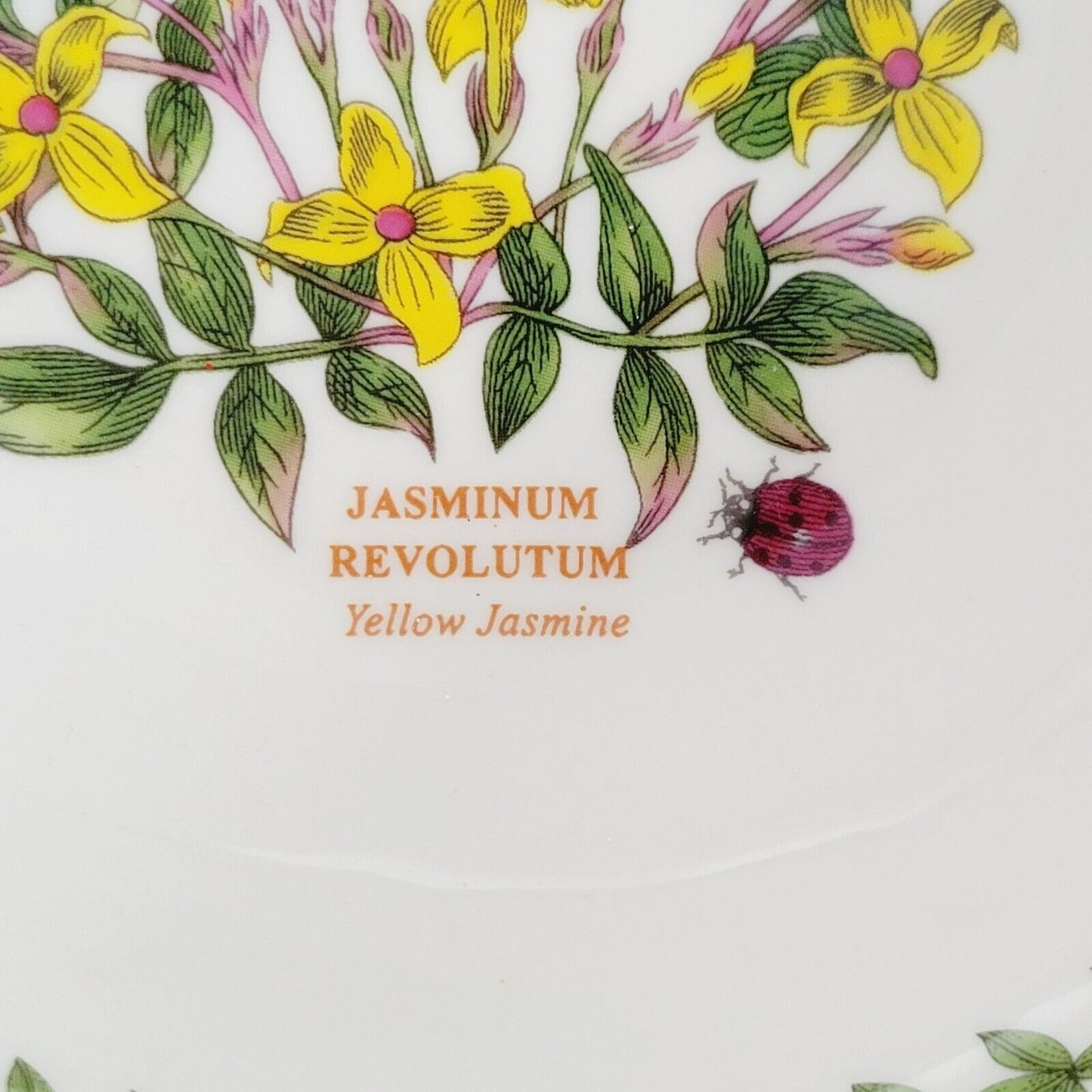 Portmeirion Botanic Garden Terrace Jasmine Cereal Bowl