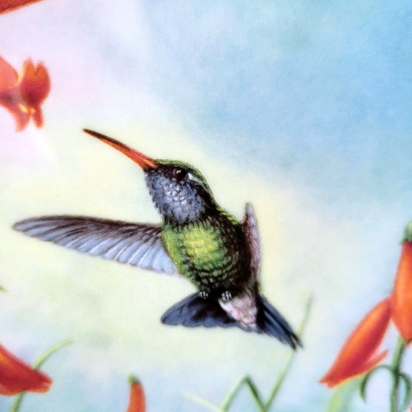 Vintage Hummingbird Small Collectors Plate, Pickard Gems of Nature Broad-billed Hummingbird, Cyndi Nelson Beautiful Hummingbirds Series c.1990s