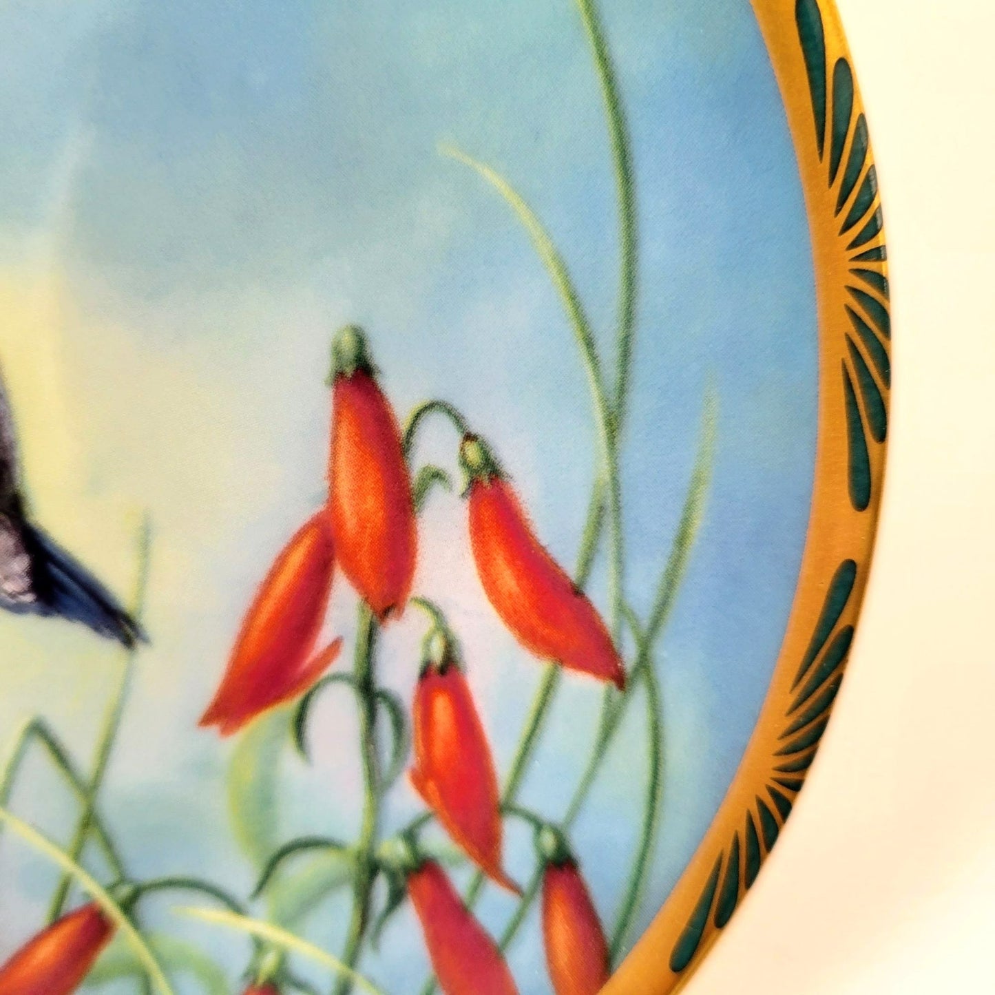 Vintage Hummingbird Small Collectors Plate, Pickard Gems of Nature Broad-billed Hummingbird, Cyndi Nelson Beautiful Hummingbirds Series c.1990s