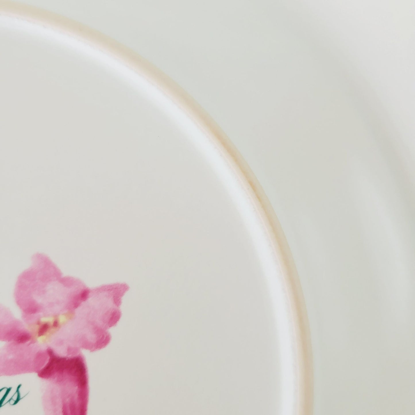 Lenox Summer Greetings Eastern Bluebird Stoneware Salad Plate