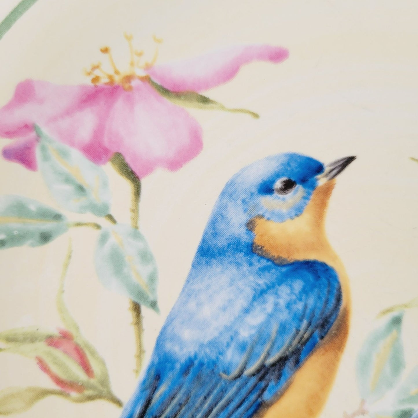 Lenox Summer Greetings Eastern Bluebird Stoneware Salad Plate