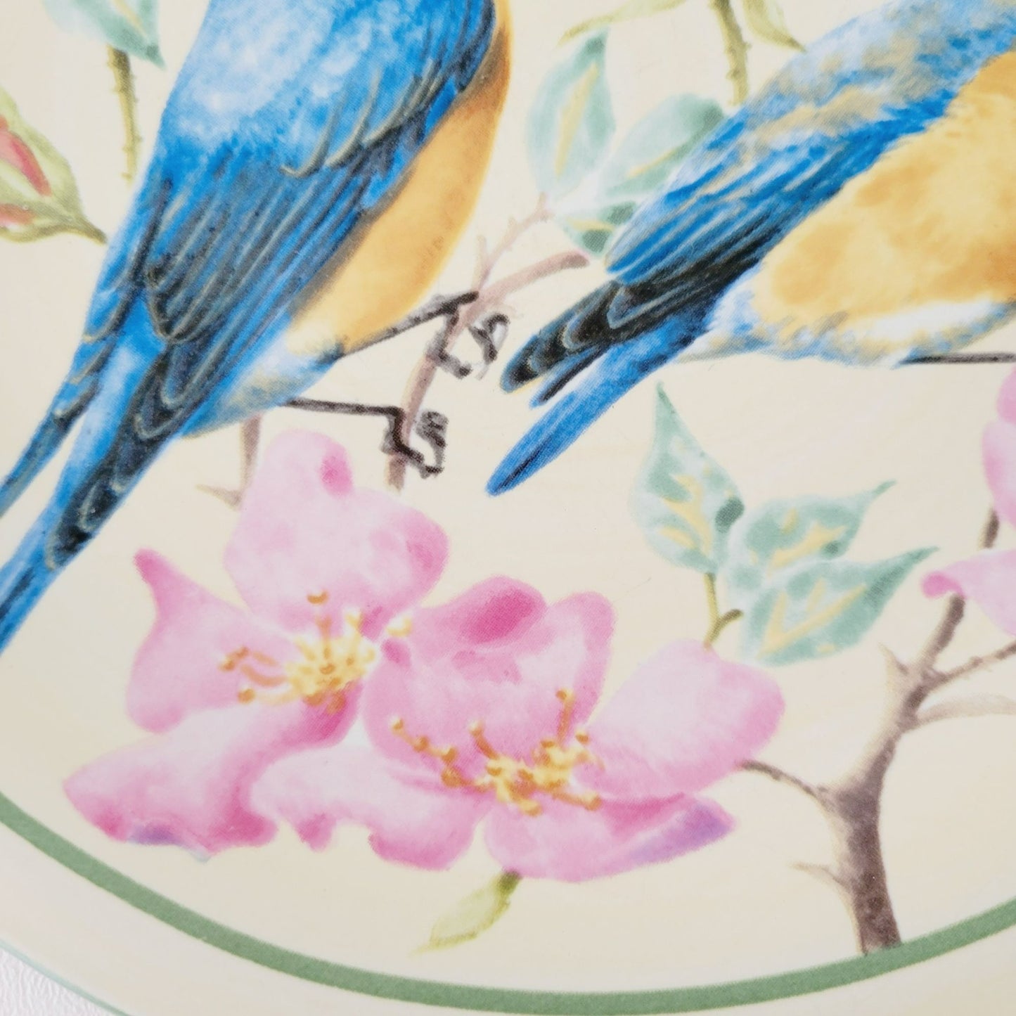 Lenox Summer Greetings Eastern Bluebird Stoneware Salad Plate