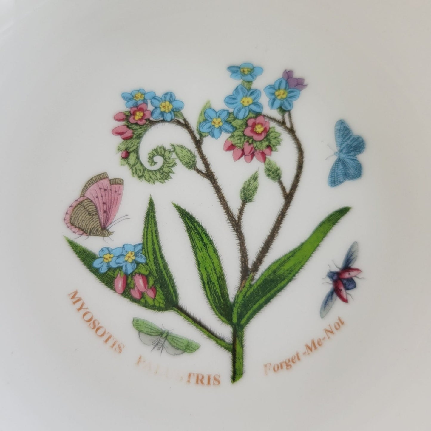Portmeirion Botanic Garden Forget Me Not  7" All Purpose Bowl, Made in England